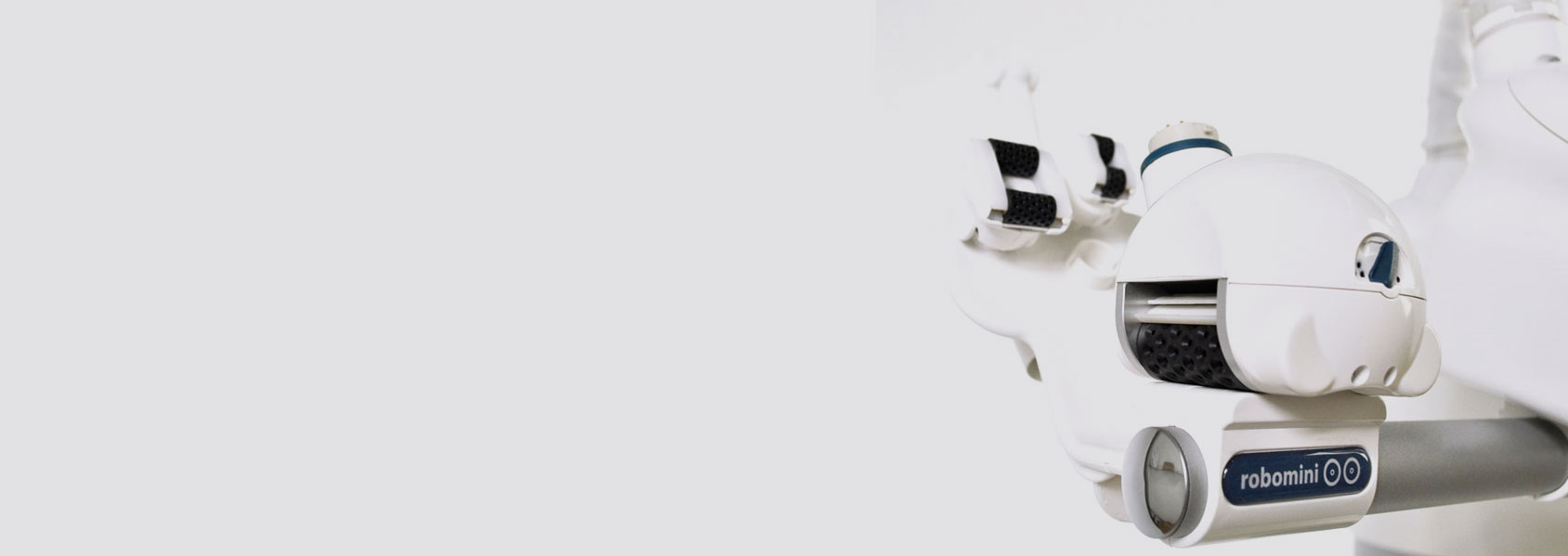 Belezo icoone tkanka tłuszczowa Belezo icoone rozstępy po porodzie